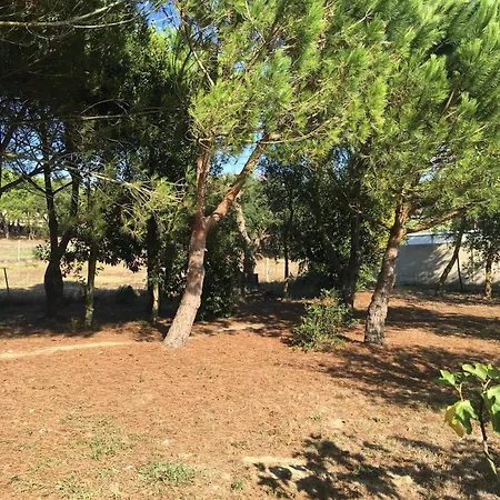 Quinta Turki Malika Villa