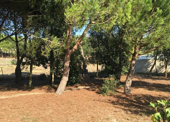 Quinta Turki Malika Вилла